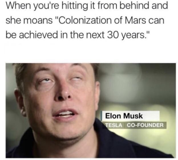 Elon Musk's fantasy.