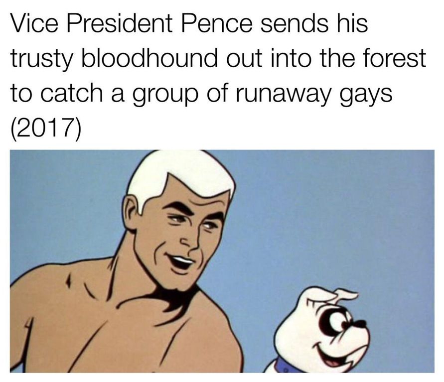 Sick em boi