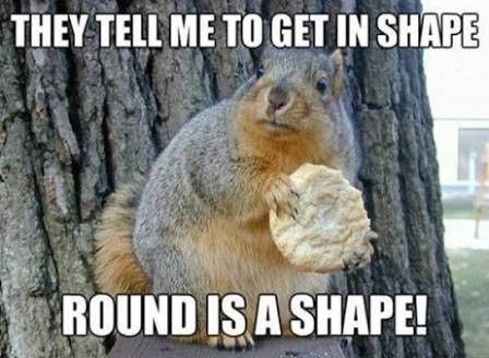 Fat squirrels are harder to kidnap
