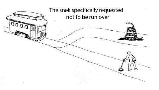 No step on snek