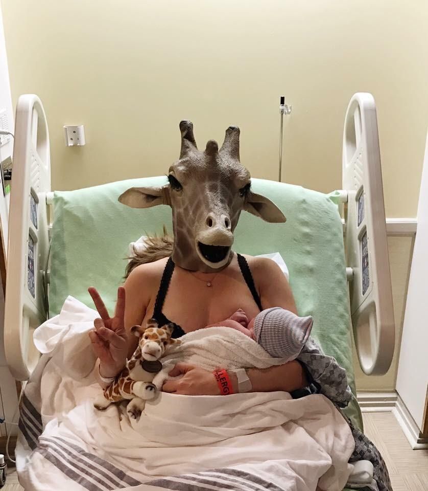 The giraffe finally had her baby!