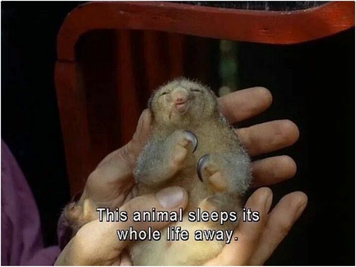 Whenever I'm being introduced to someone