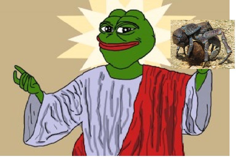 tfw all your bans get removed and you can shitpost again
