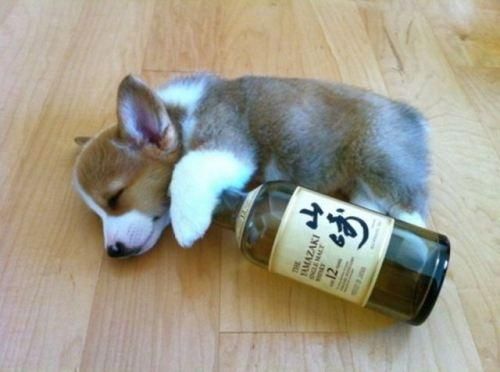 Partied too hard...