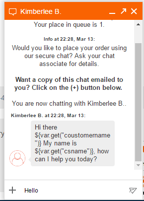 ***ing Home Depot live chat