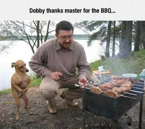 Dobby didn't die. He went into Witness Protection.
