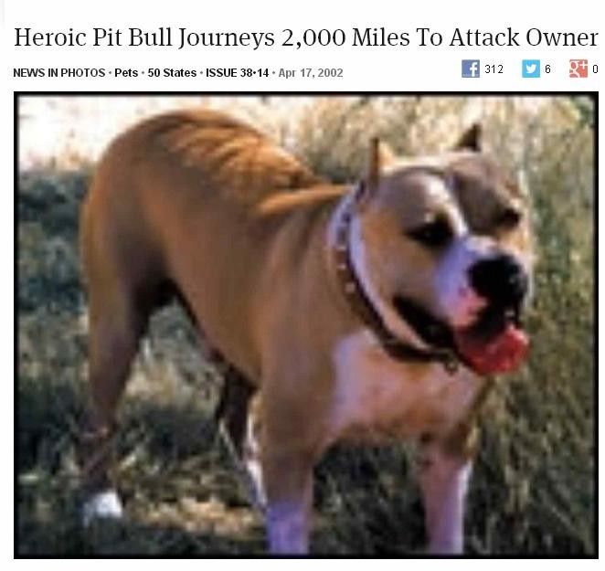 Repost from 2002