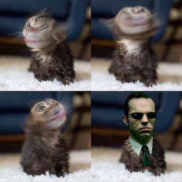 Neo