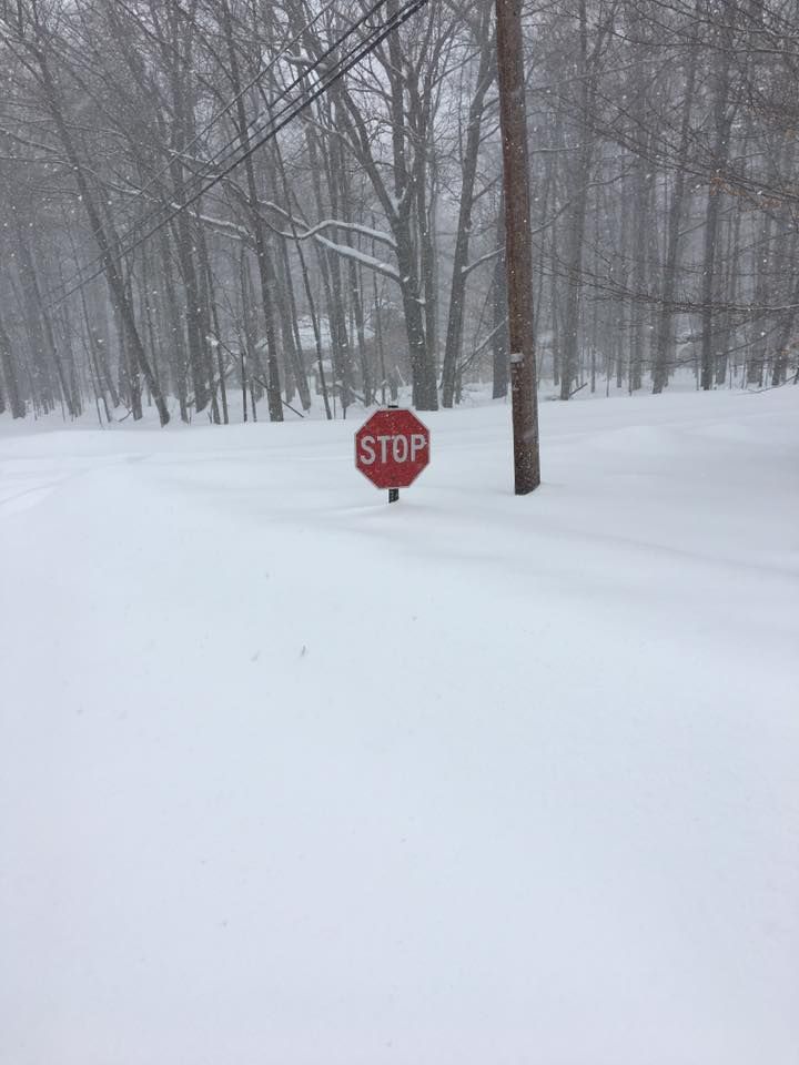 Still snowing from yesterday's blizzard. Hope Mother Nature gets the message.