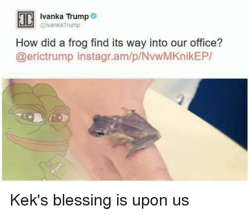 Considering Kek is the reason you're even there