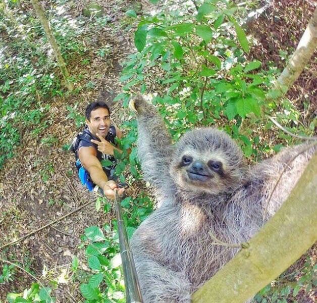 Just found the reason to get a selfie stick