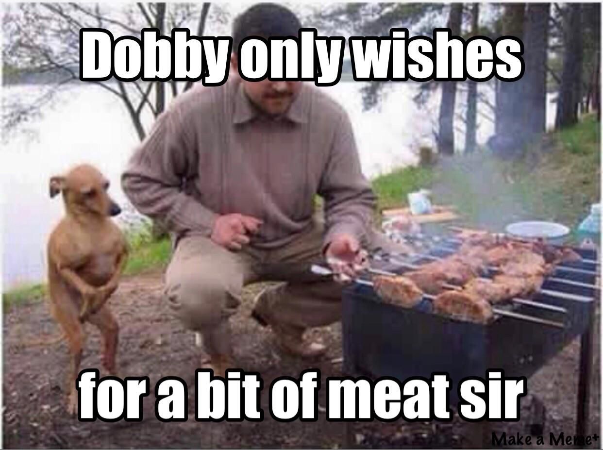 Dobby the house dog