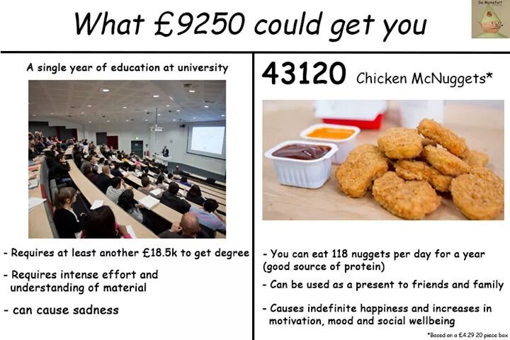 The Pros and Cons of University
