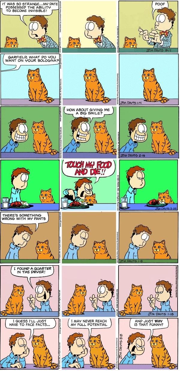 Garfield irl