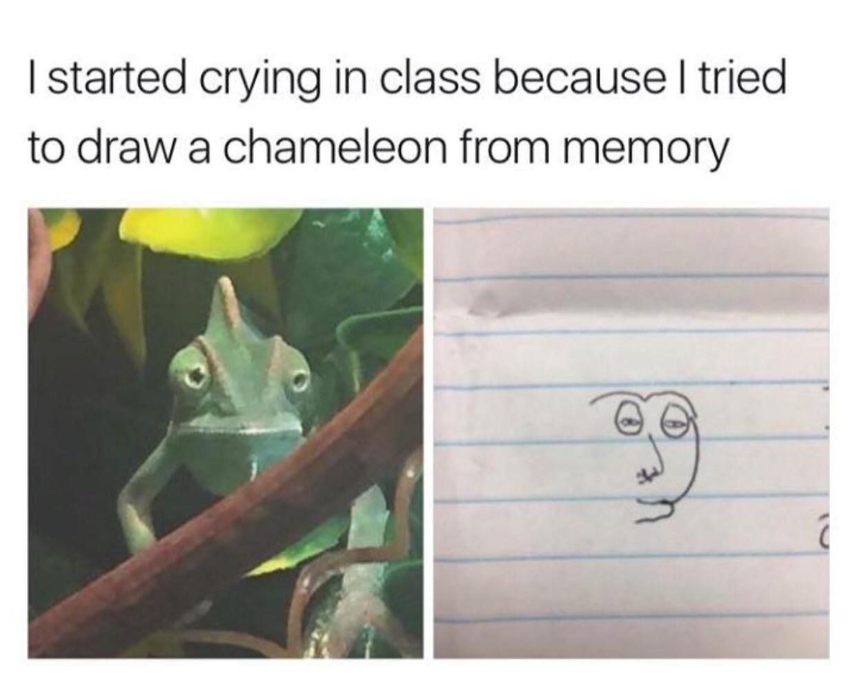 How to draw a chameleon 101