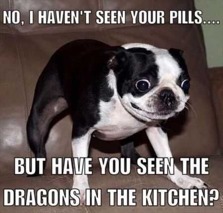 I haven't seen your pills