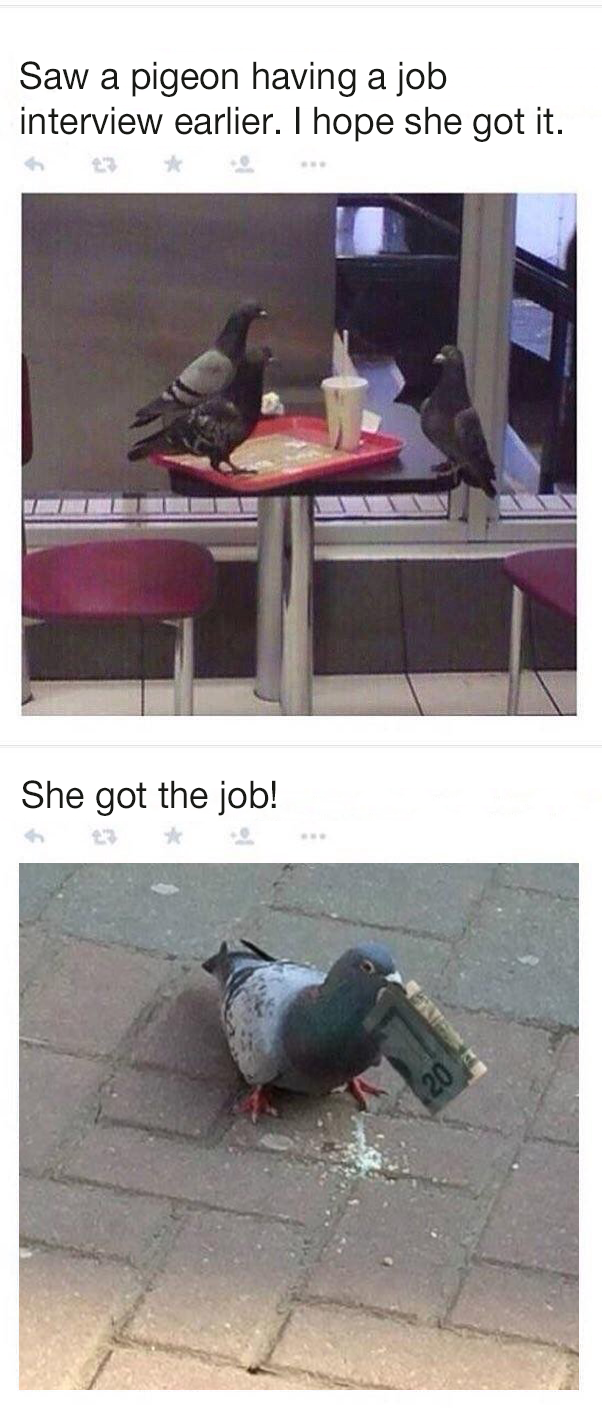 She got the job!