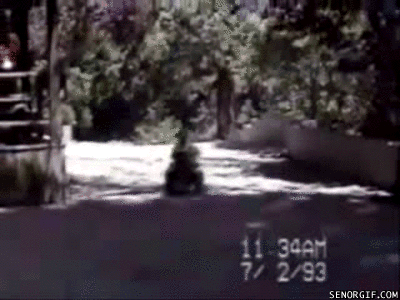 Dog powered car