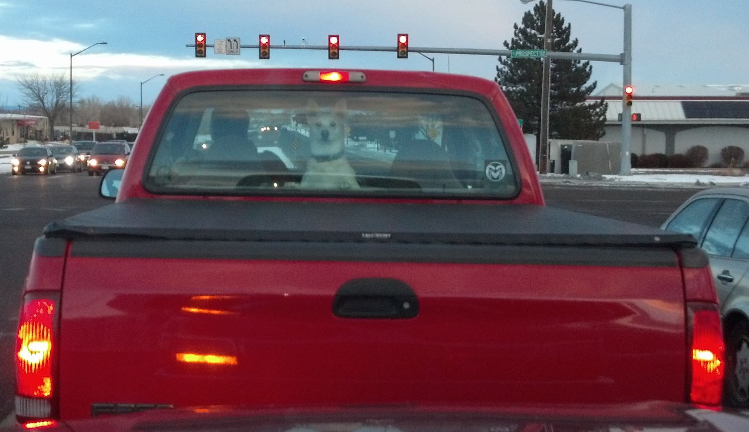 The moment my dog realized I was in the truck behind him...