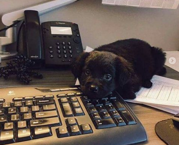 My new co-worker is totally useless.
