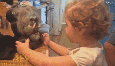 Had this gif on my phone for ages now. Never ceases to make me smile.