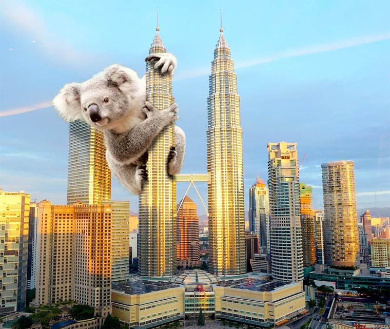My girlfriend just said Koala Lumpur, I Googled it and was not disappointed.