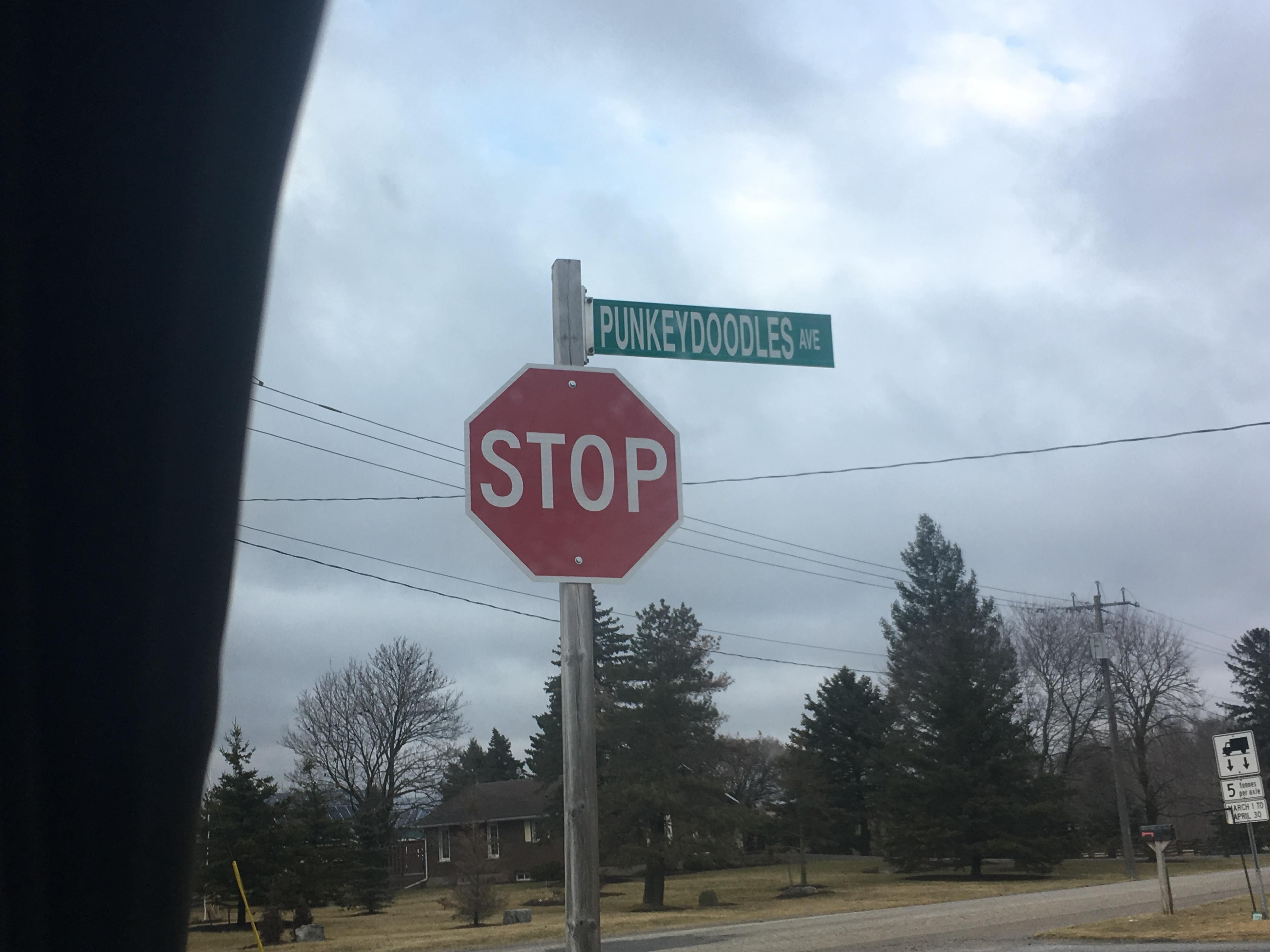 Found the most ridiculous street name yesterday.