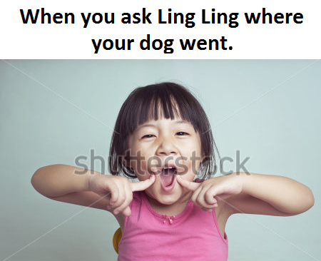 dammit ling ling