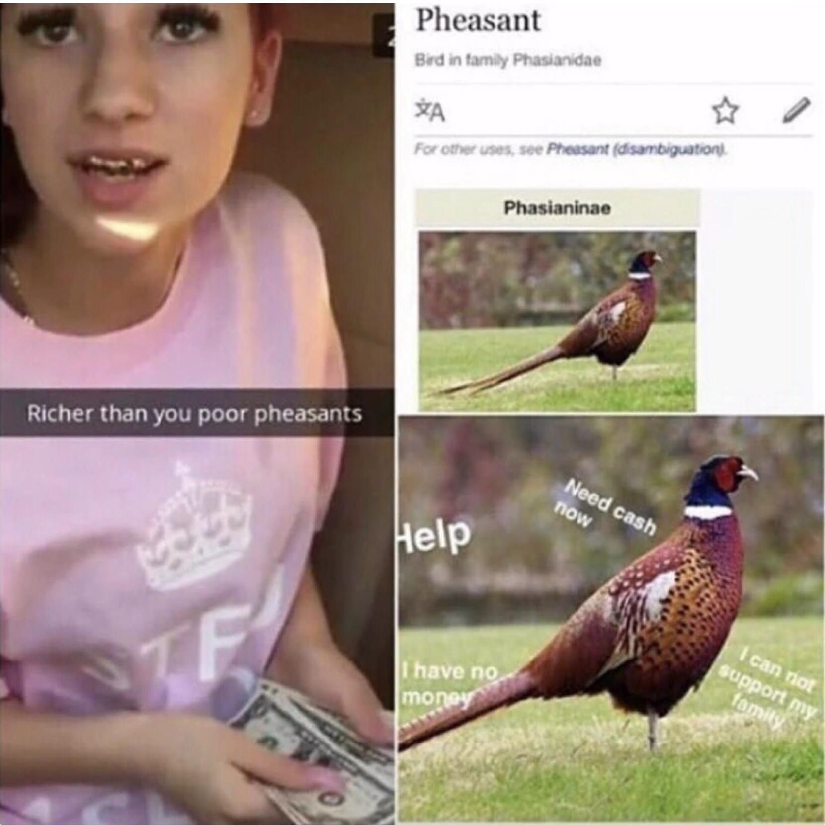 "Pheasants"