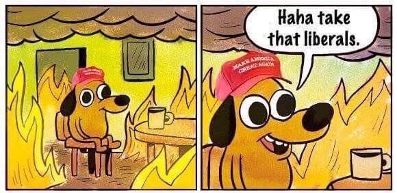 Trumps presidency in a nutshell