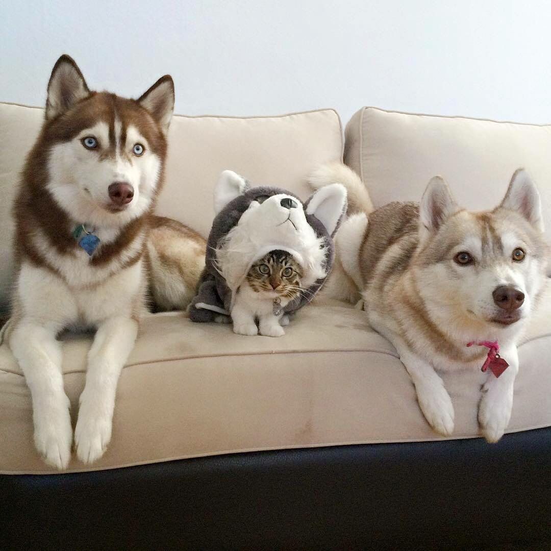 Day 3: they suspect nothing