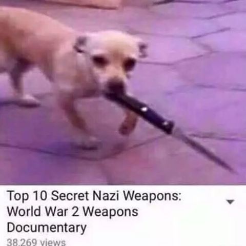 mess with the mutto you're gonna get cutto