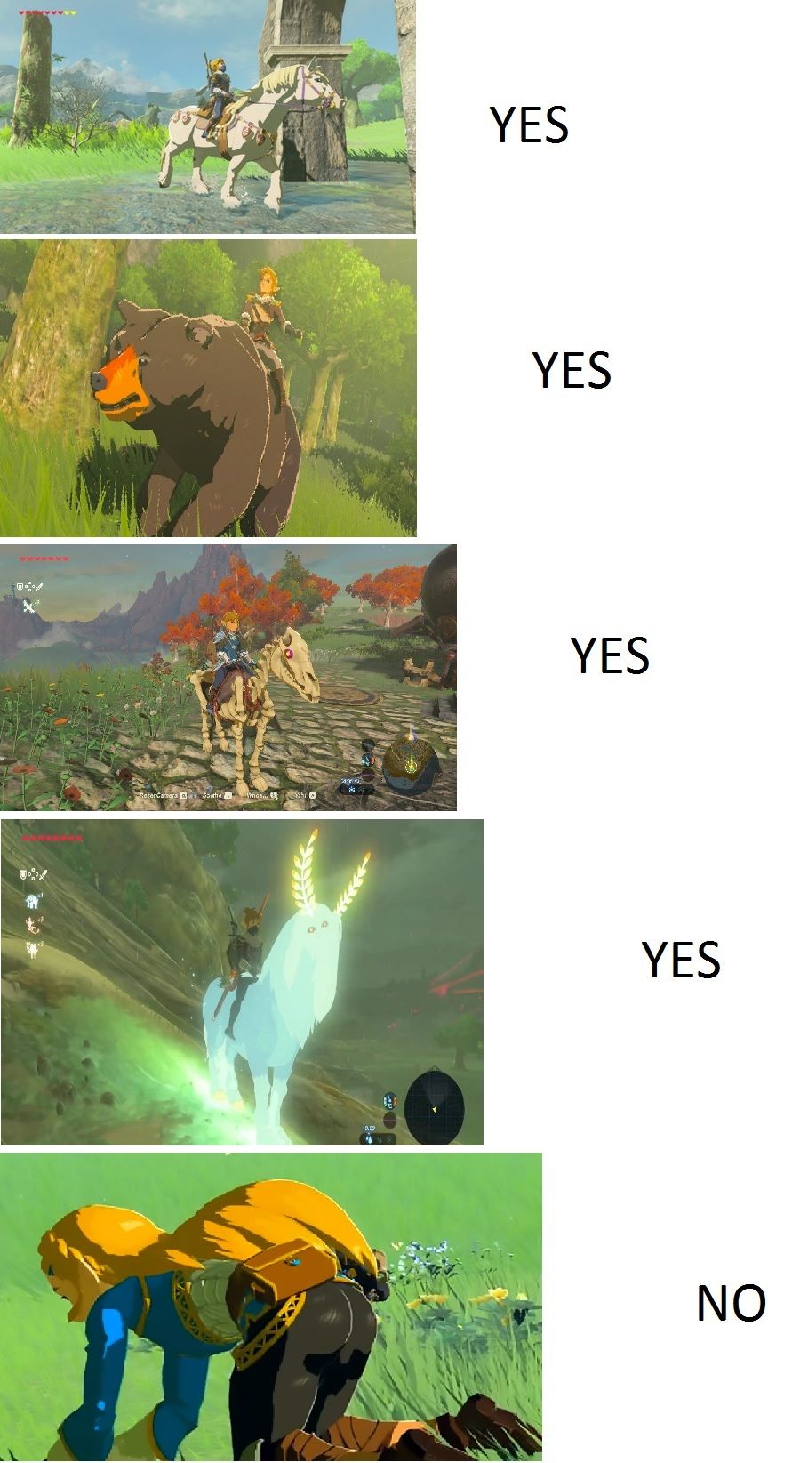Things you can mount in BOTW
