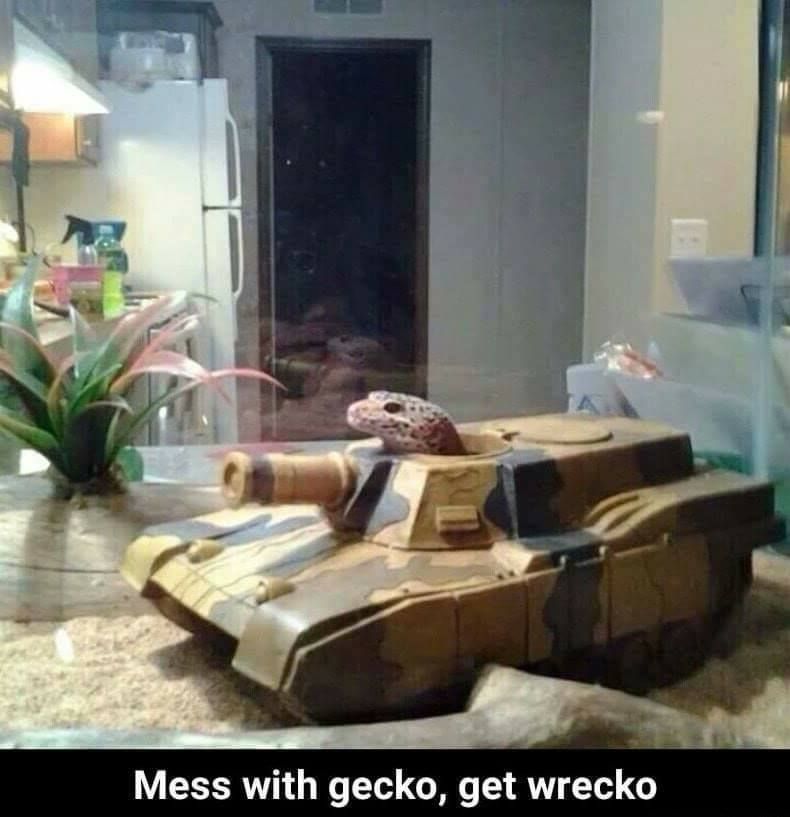 Mess with the goro...get downvoto