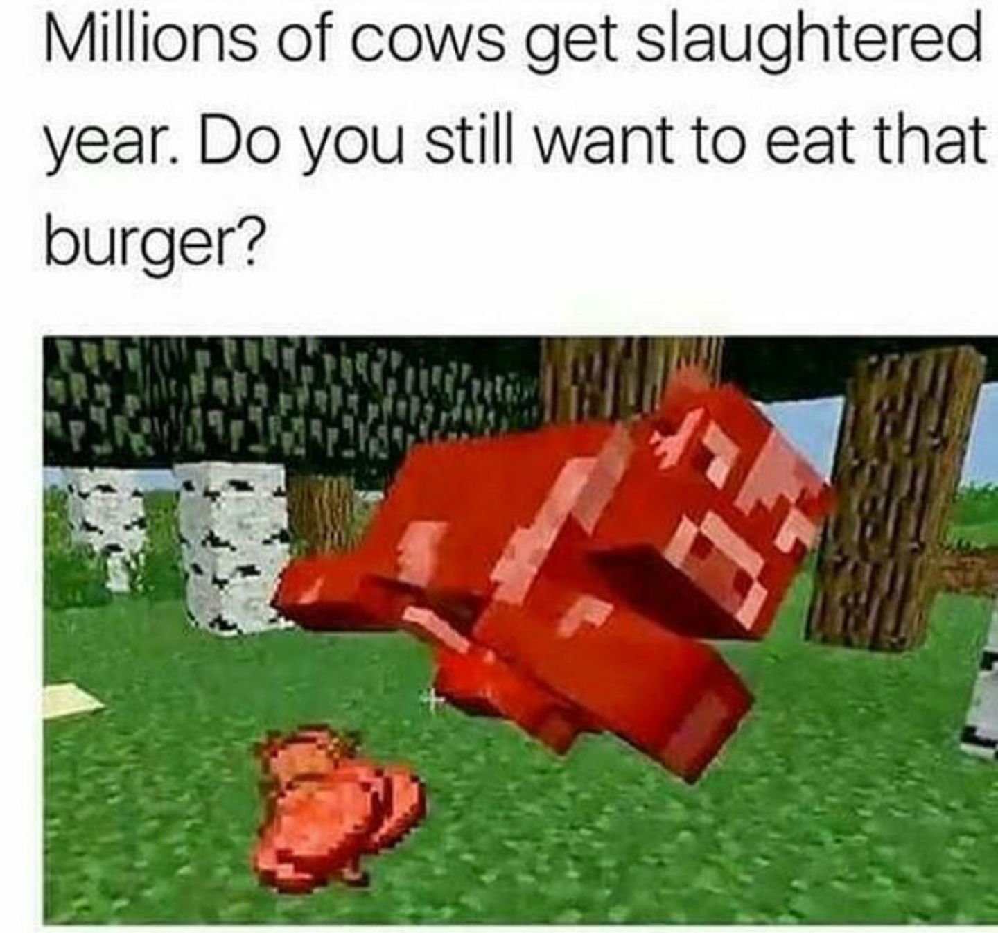 digital meat is murder !