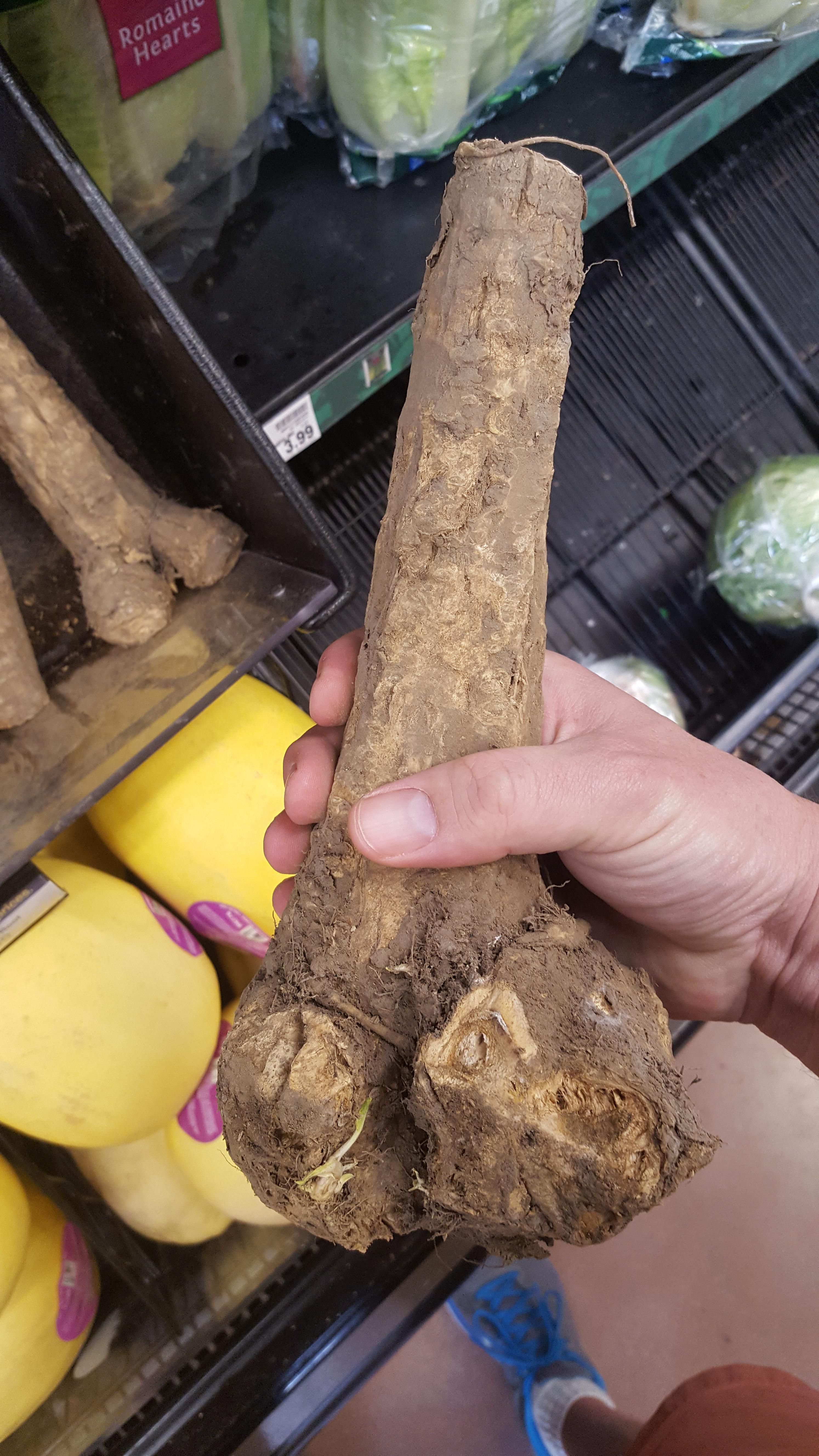 My wife asked me to pick up some "girthy" roots at the store