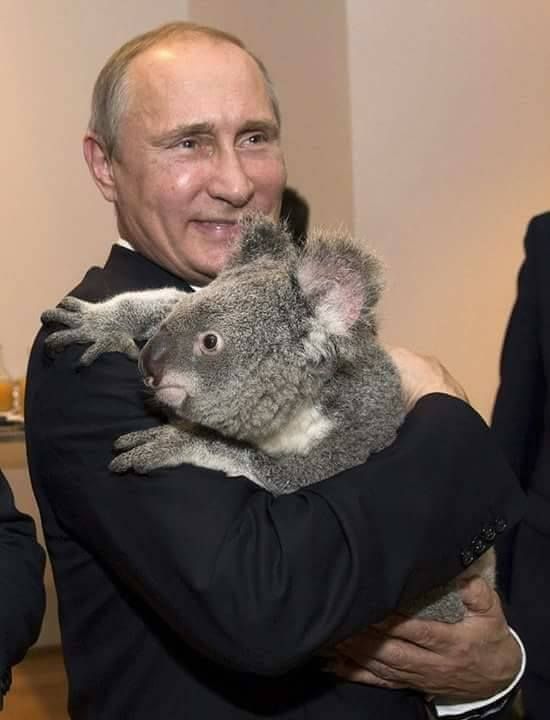 Australian Prime Minister Taken Hostage By Putin (2017)