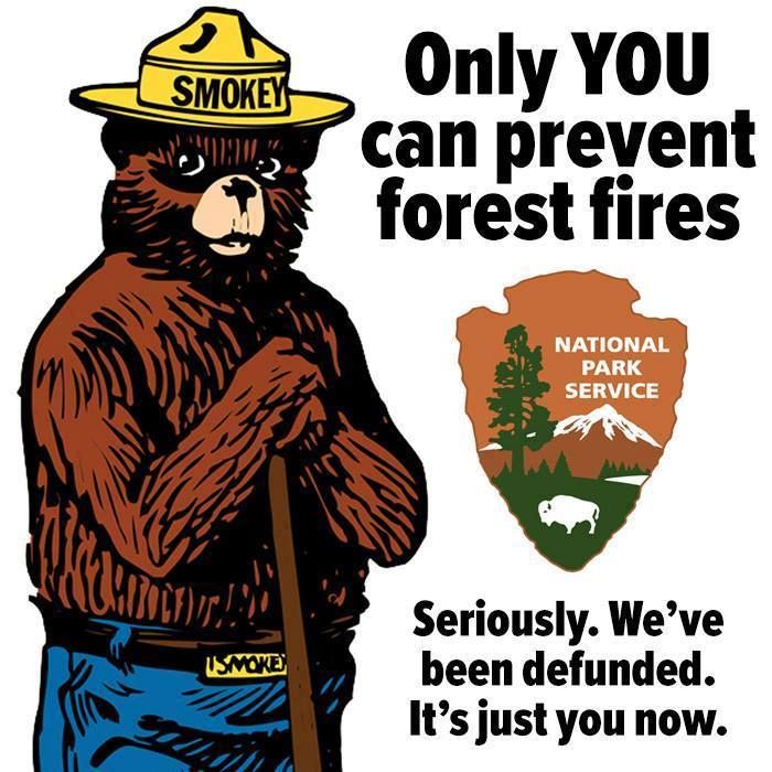 A PSA from Smokey the Bear.