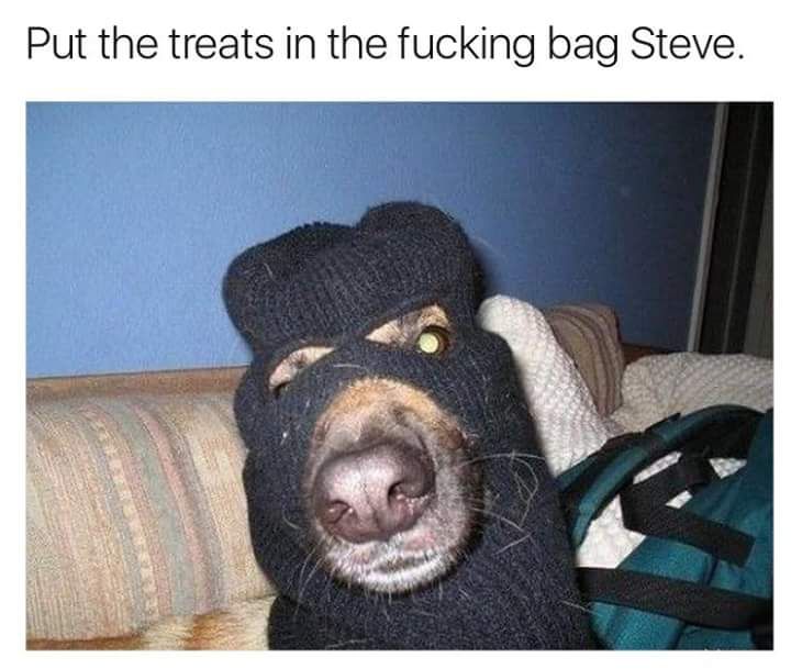 Nobody has to get hurt, Steve.