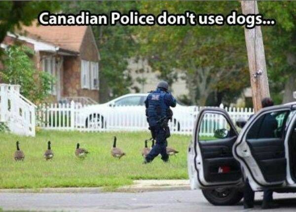 Silly Canadians