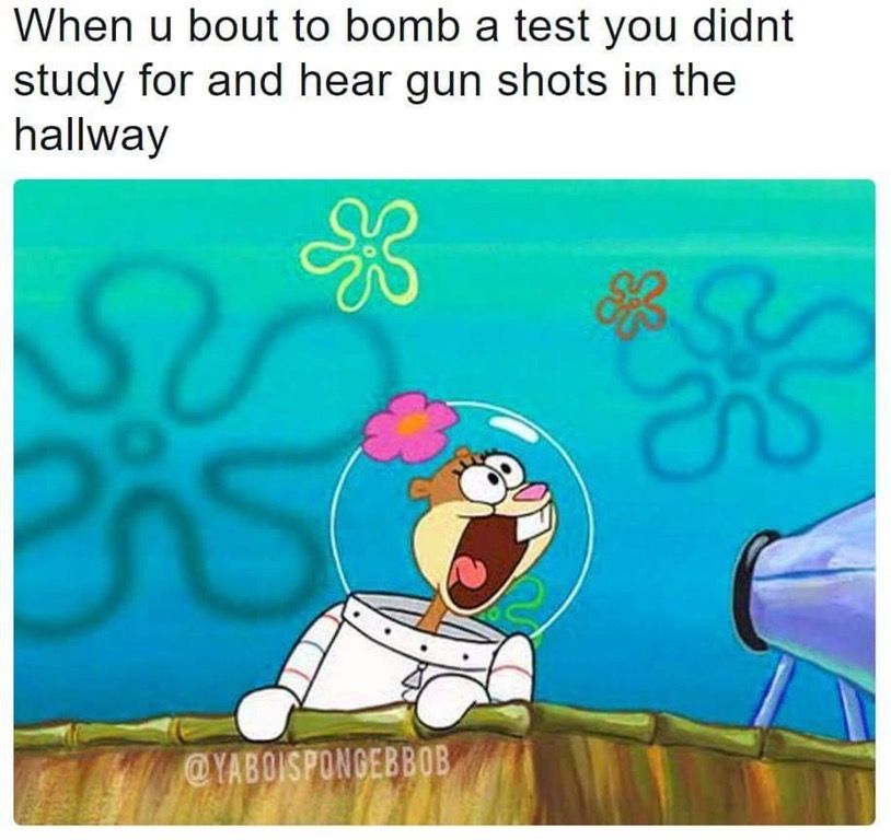 me irl