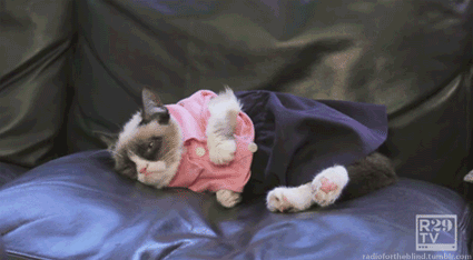Grumpy cat in a dress