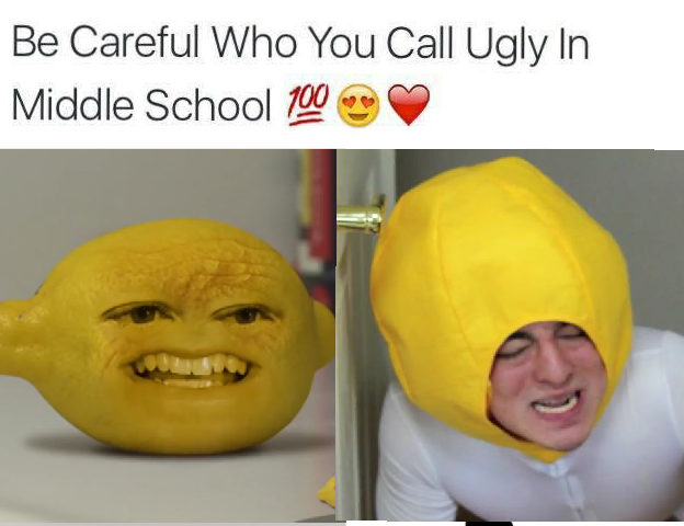 im a lemon