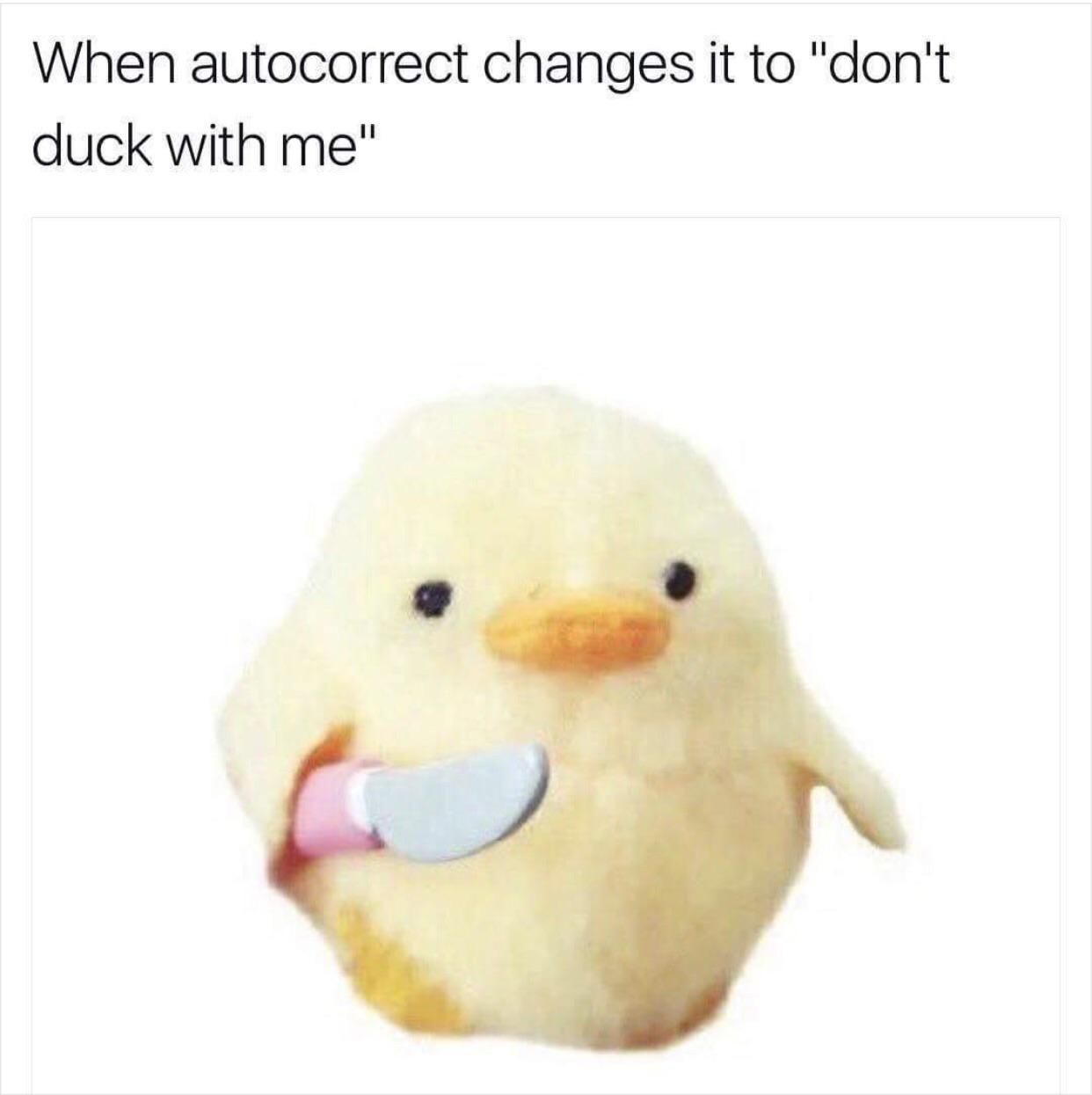 Don't duck with me