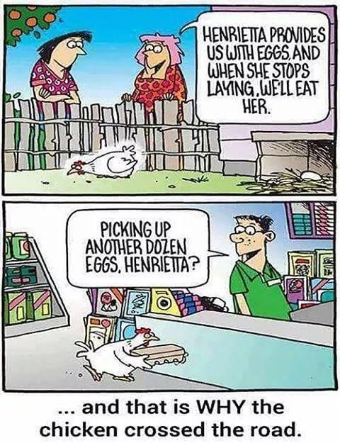 So why did the chicken really cross the road?
