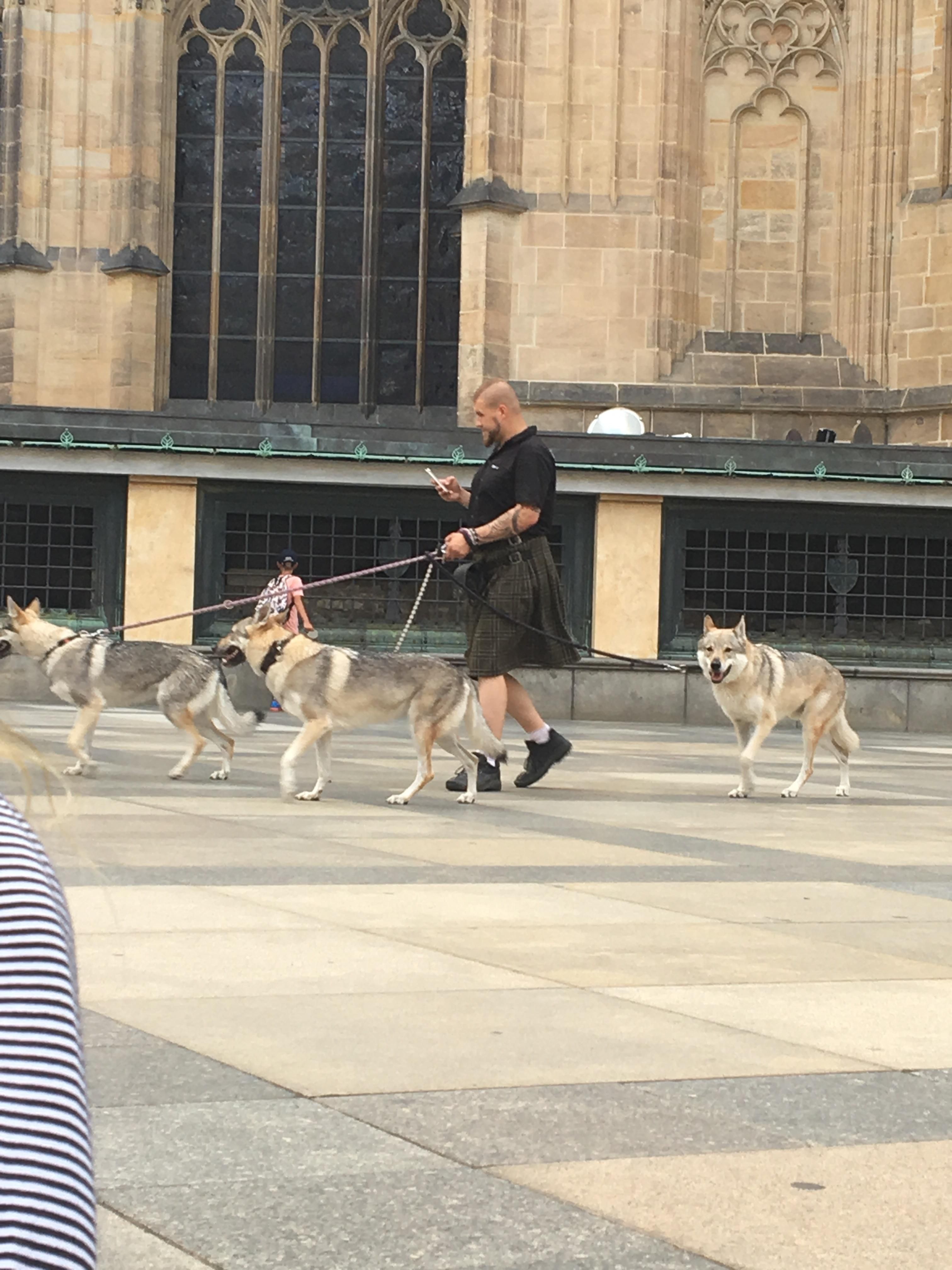 "I think I'll walk my wolf dogs in my kilt today"