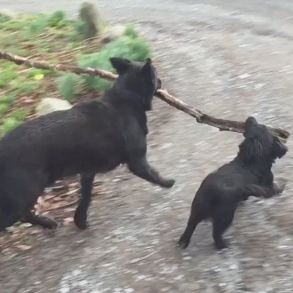 Branch Manager & Assistant to the Branch Manager.