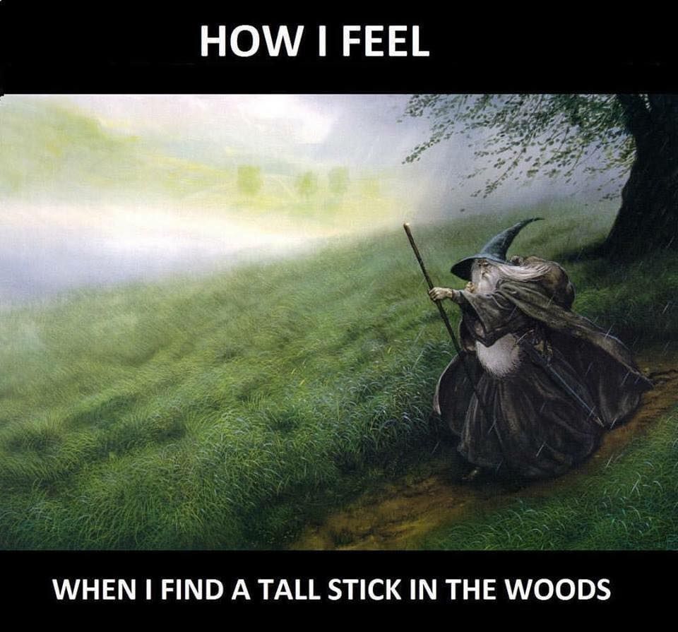 Quite relatable. (I like long sticks)