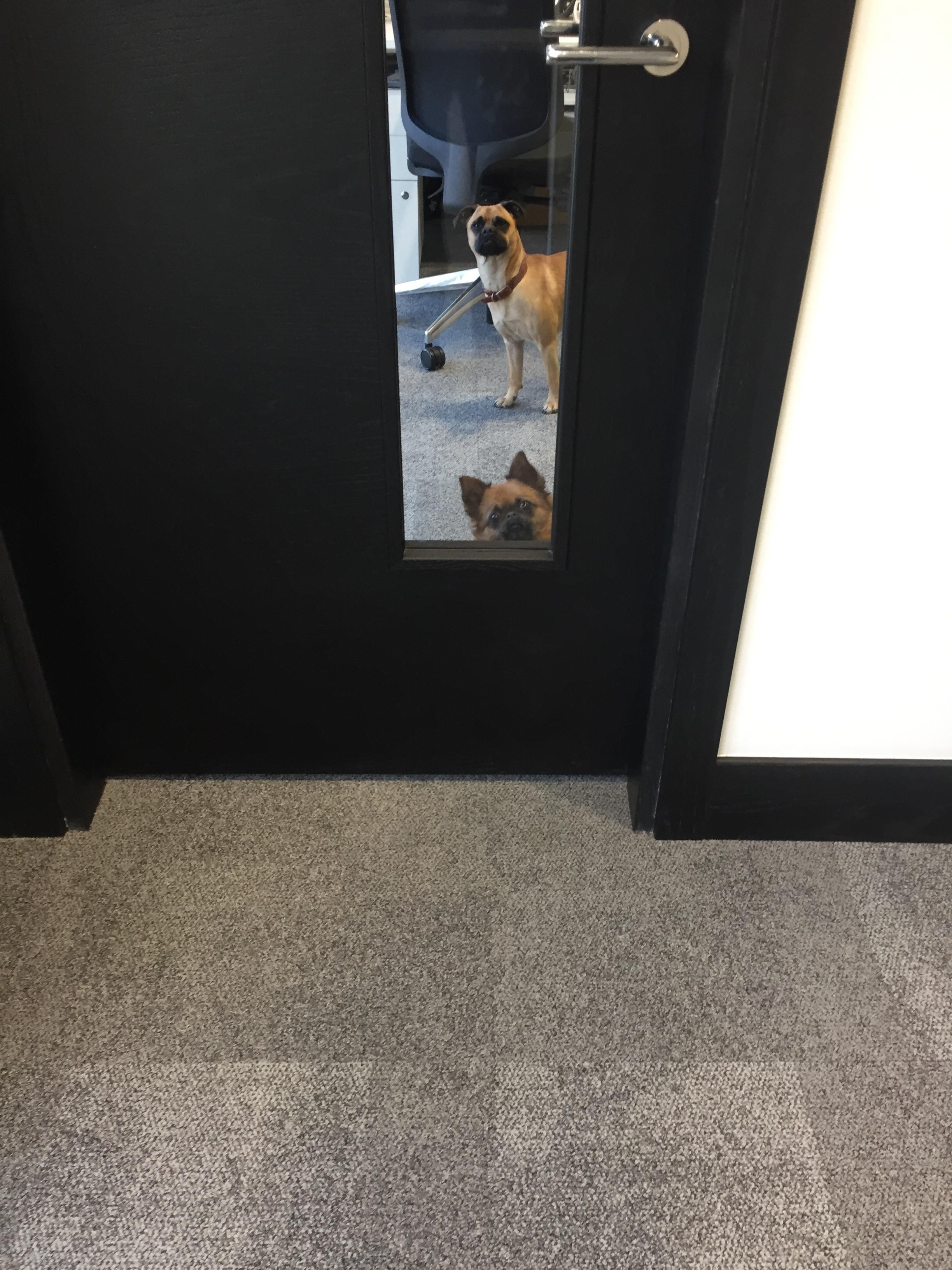 How I was greeted in the office one morning.
