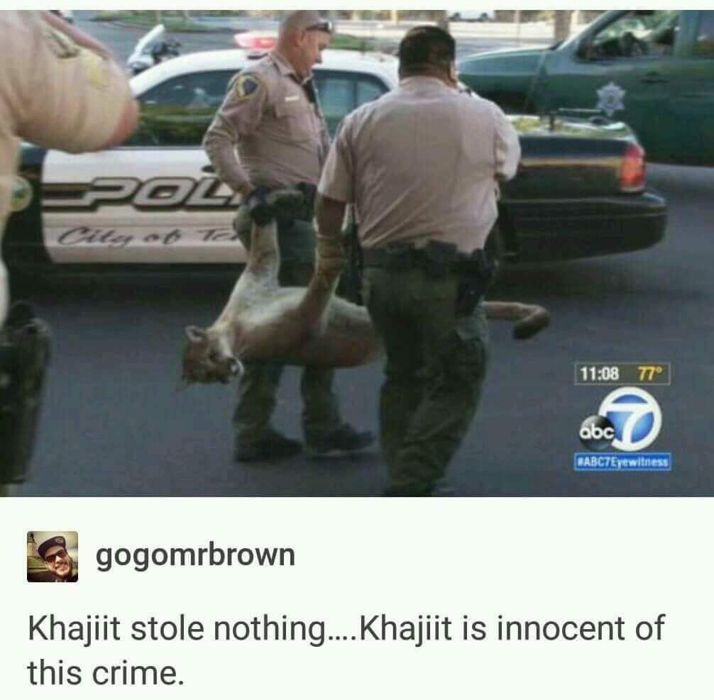 Khajiit is innocent!